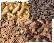 Biocombustibles